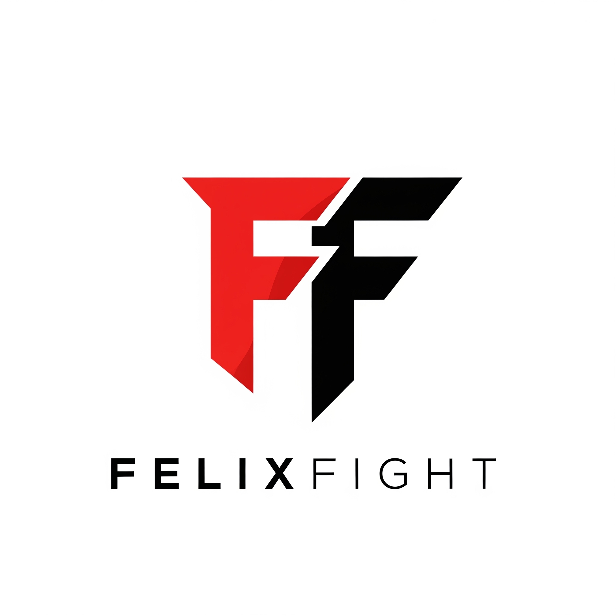 FelixFight